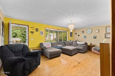 Other - 207 Sycamore Street Erwin Tn 37650, Erwin, TN 37650 photo 2 of 6
