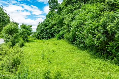 tbd Highway 321 Hampton Tn 37658, Hampton, TN 37658 photo 23