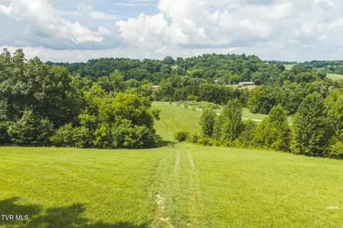 114 Acres South Mohawk South Road Midway Tn 37809, Midway, TN 37809 photo 17