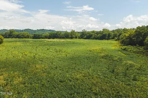 114 Acres South Mohawk South Road Midway Tn 37809, Midway, TN 37809 photo 9