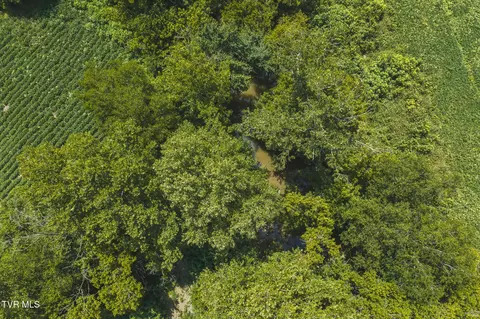 114 Acres South Mohawk South Road Midway Tn 37809, Midway, TN 37809 photo 7
