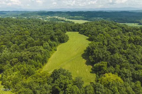 114 Acres South Mohawk South Road Midway Tn 37809, Midway, TN 37809 photo 20