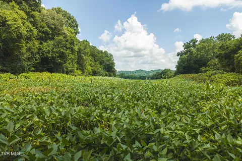 114 Acres South Mohawk South Road Midway Tn 37809, Midway, TN 37809 photo 24