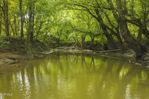 114 Acres South Mohawk South Road Midway Tn 37809, Midway, TN 37809 photo 21