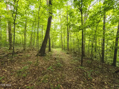 114 Acres South Mohawk South Road Midway Tn 37809, Midway, TN 37809 photo 36