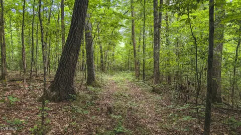 114 Acres South Mohawk South Road Midway Tn 37809, Midway, TN 37809 photo 38