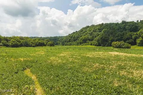 114 Acres South Mohawk South Road Midway Tn 37809, Midway, TN 37809 photo 11
