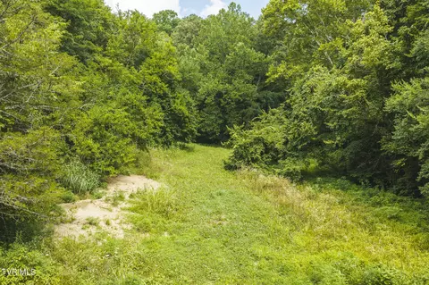 114 Acres South Mohawk South Road Midway Tn 37809, Midway, TN 37809 photo 28