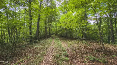 114 Acres South Mohawk South Road Midway Tn 37809, Midway, TN 37809 photo 37