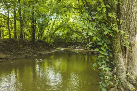 114 Acres South Mohawk South Road Midway Tn 37809, Midway, TN 37809 photo 23