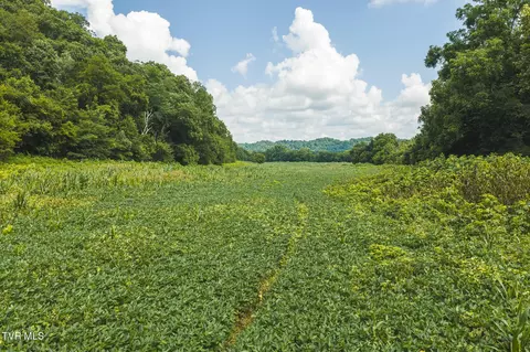 114 Acres South Mohawk South Road Midway Tn 37809, Midway, TN 37809 photo 25