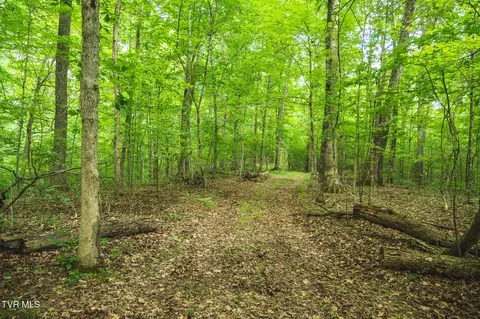 114 Acres South Mohawk South Road Midway Tn 37809, Midway, TN 37809 photo 44