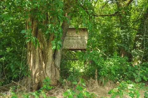 114 Acres South Mohawk South Road Midway Tn 37809, Midway, TN 37809 photo 39