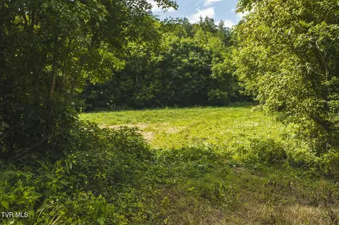 114 Acres South Mohawk South Road Midway Tn 37809, Midway, TN 37809 photo 26