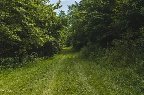 114 Acres South Mohawk South Road Midway Tn 37809, Midway, TN 37809 photo 29