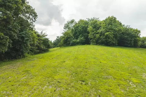 114 Acres South Mohawk South Road Midway Tn 37809, Midway, TN 37809 photo 16