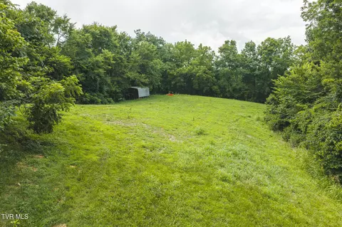 114 Acres South Mohawk South Road Midway Tn 37809, Midway, TN 37809 photo 15