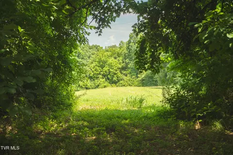 114 Acres South Mohawk South Road Midway Tn 37809, Midway, TN 37809 photo 42