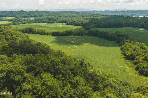 114 Acres South Mohawk South Road Midway Tn 37809, Midway, TN 37809 photo 3