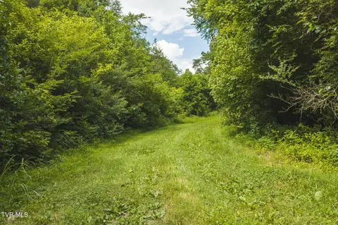 114 Acres South Mohawk South Road Midway Tn 37809, Midway, TN 37809 photo 27