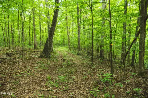 114 Acres South Mohawk South Road Midway Tn 37809, Midway, TN 37809 photo 43