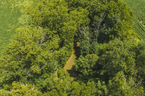 114 Acres South Mohawk South Road Midway Tn 37809, Midway, TN 37809 photo 10