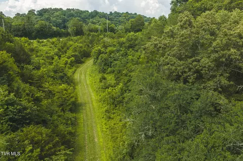 114 Acres South Mohawk South Road Midway Tn 37809, Midway, TN 37809 photo 30