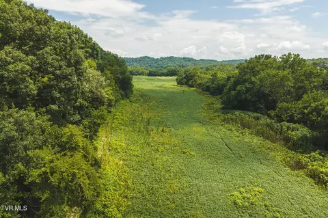 114 Acres South Mohawk South Road Midway Tn 37809, Midway, TN 37809 photo 8