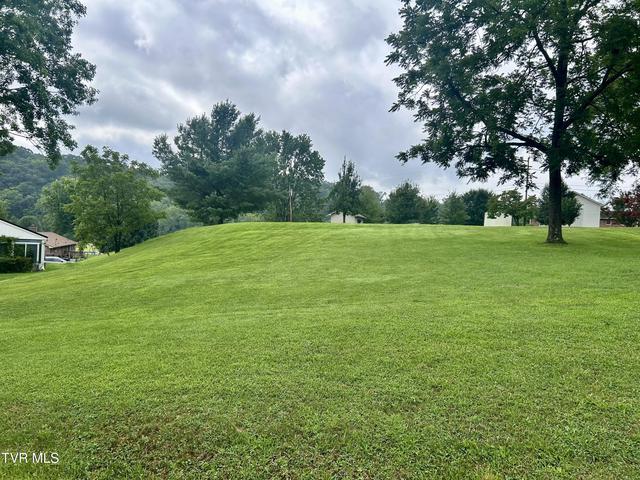 tbd Brandon Lane Kingsport Tn 37660, Kingsport, TN 37660