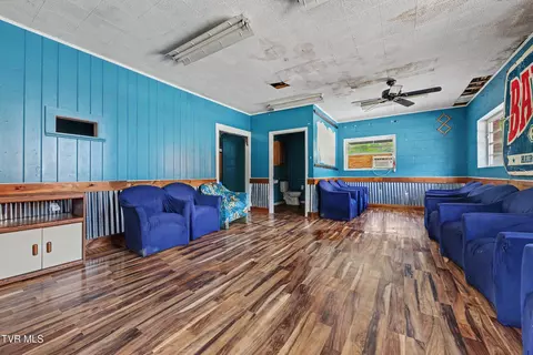 204 E Mckee Street Greeneville Tn 37743, Greeneville, TN 37743 photo 18
