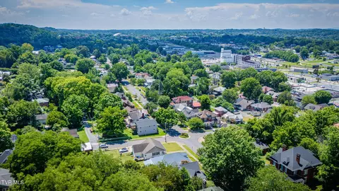 View/Area - 313 W Pine Street Johnson City Tn 37604, Johnson City, TN 37604 photo 5 of 5