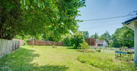 Exterior - 313 W Pine Street Johnson City Tn 37604, Johnson City, TN 37604 photo 6 of 9