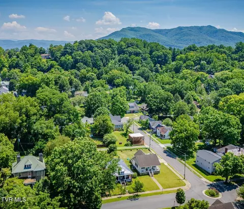 View/Area - 313 W Pine Street Johnson City Tn 37604, Johnson City, TN 37604 photo 3 of 5