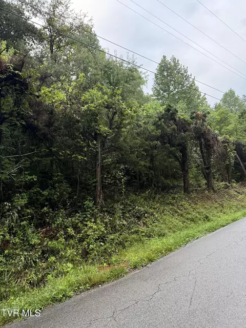 tbd Chambers Drive Elizabethton Tn 37643, Elizabethton, TN 37643