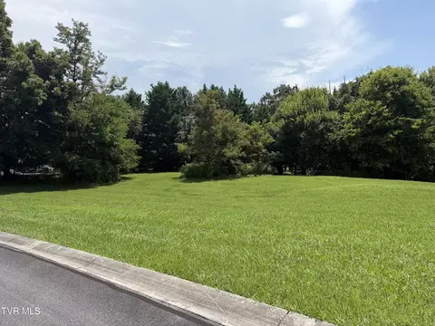 lot178 Harbor View 178 Mooresburg Tn 37811, Mooresburg, TN 37811