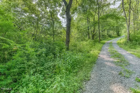 119 Alice Johnson Road 119 Roan Mountain Tn 37687, Roan Mountain, TN 37687