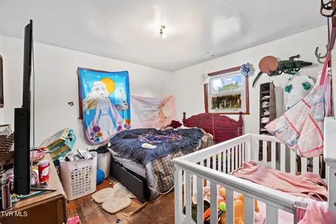 Bedroom - 290 Butchertown Road Fall Branch Tn 37656, Fall Branch, TN 37656 photo 5 of 5
