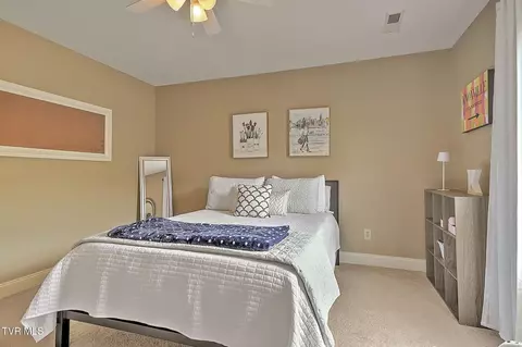 Bedroom - 218 Cedar Creek Road 2 Gray Tn 37615, Gray, TN 37615 photo 13 of 13