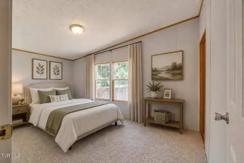 Bedroom - 193 Barwick Road Limestone Tn 37681, Limestone, TN 37681 photo 10 of 13