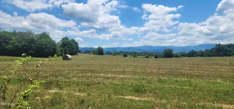 Other - 193 Barwick Road Limestone Tn 37681, Limestone, TN 37681 photo 5 of 19