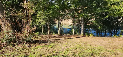 View/Area - 193 Barwick Road Limestone Tn 37681, Limestone, TN 37681 photo 1 of 10