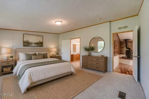 Bedroom - 193 Barwick Road Limestone Tn 37681, Limestone, TN 37681 photo 3 of 13