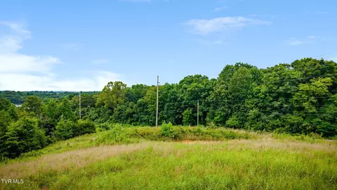 tbd Forest Midway Tn 37809, Midway, TN 37809 photo 16