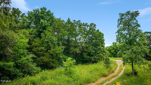 tbd Forest Midway Tn 37809, Midway, TN 37809 photo 13
