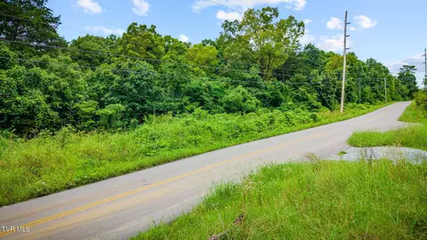 tbd Forest Midway Tn 37809, Midway, TN 37809 photo 17