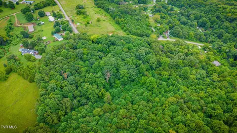 tbd Forest Midway Tn 37809, Midway, TN 37809 photo 5