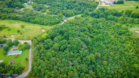 tbd Forest Midway Tn 37809, Midway, TN 37809 photo 4