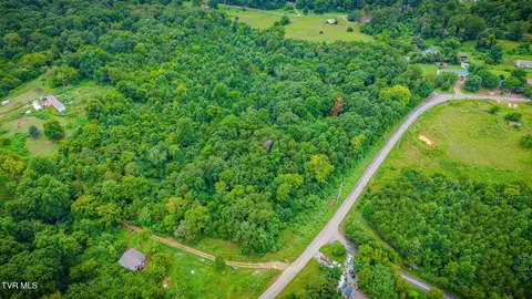 tbd Forest Midway Tn 37809, Midway, TN 37809 photo 8