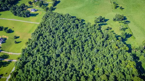 3703 Old Snapps Ferry Road Limestone Tn 37681, Limestone, TN 37681 photo 12