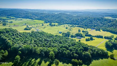 3703 Old Snapps Ferry Road Limestone Tn 37681, Limestone, TN 37681 photo 16